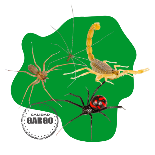 fumigación-para-alacranes-en-puebla