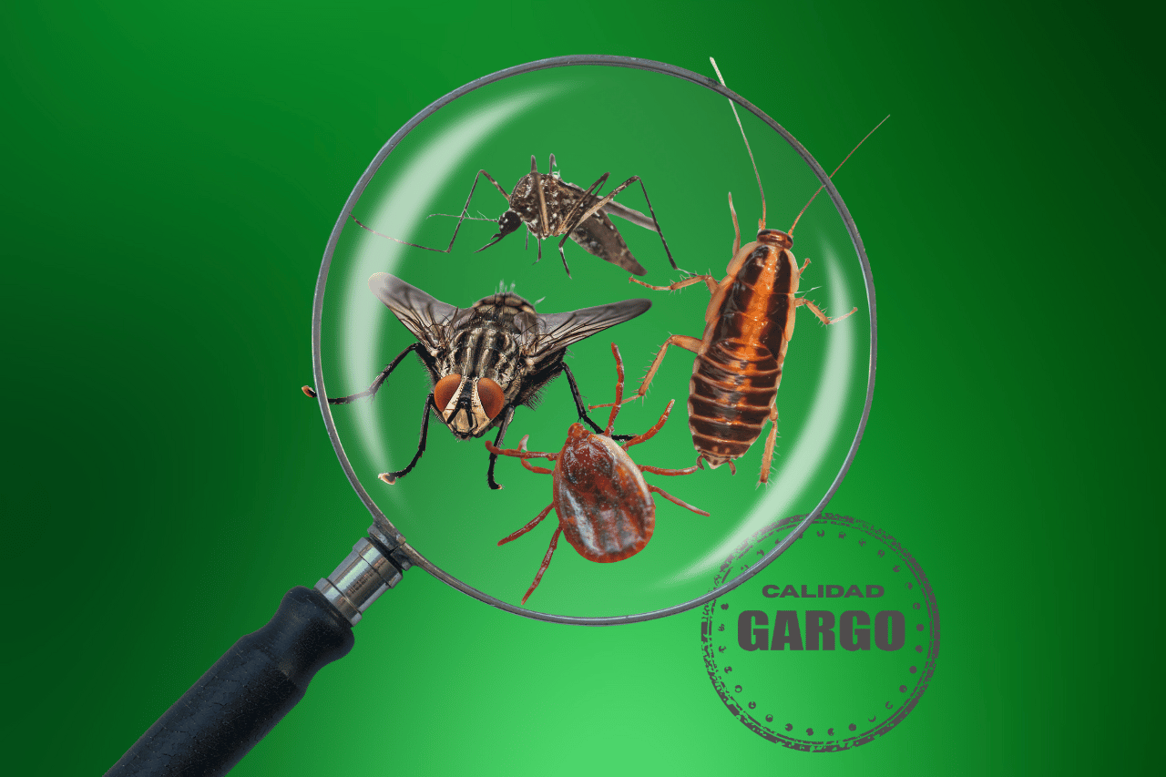tipos-de-fauna-nociva-en-mexico