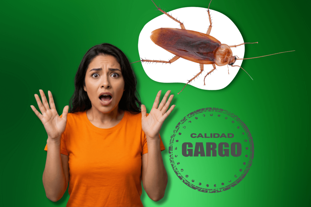 Fumigacion_de_cucarachas