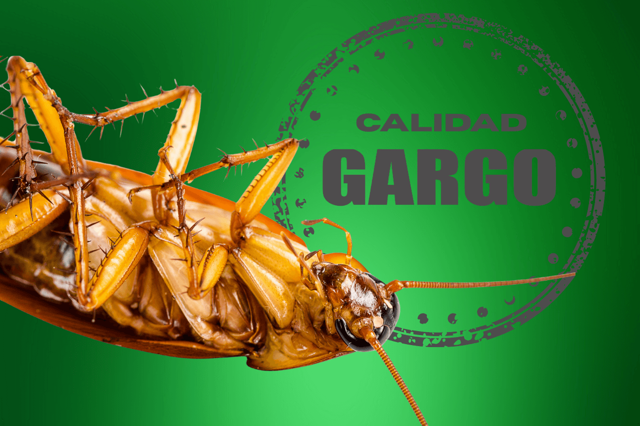 fumigacion_de_cucarachas_precio