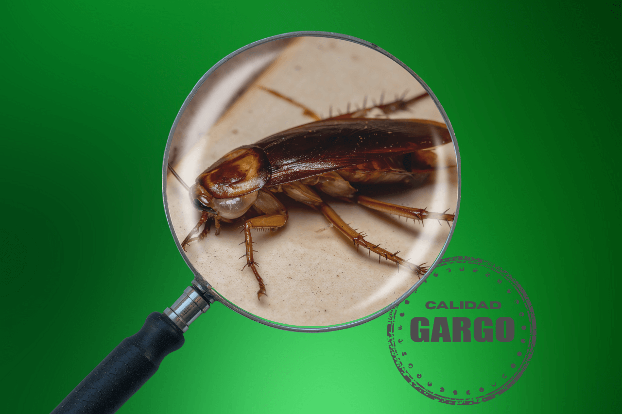 veneno_para_cucarachas
